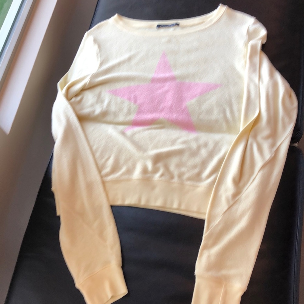 Wildfox sweatshirt